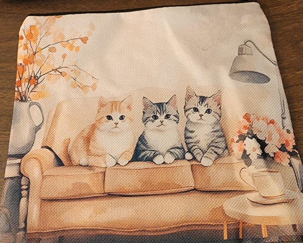 Accessory pouches